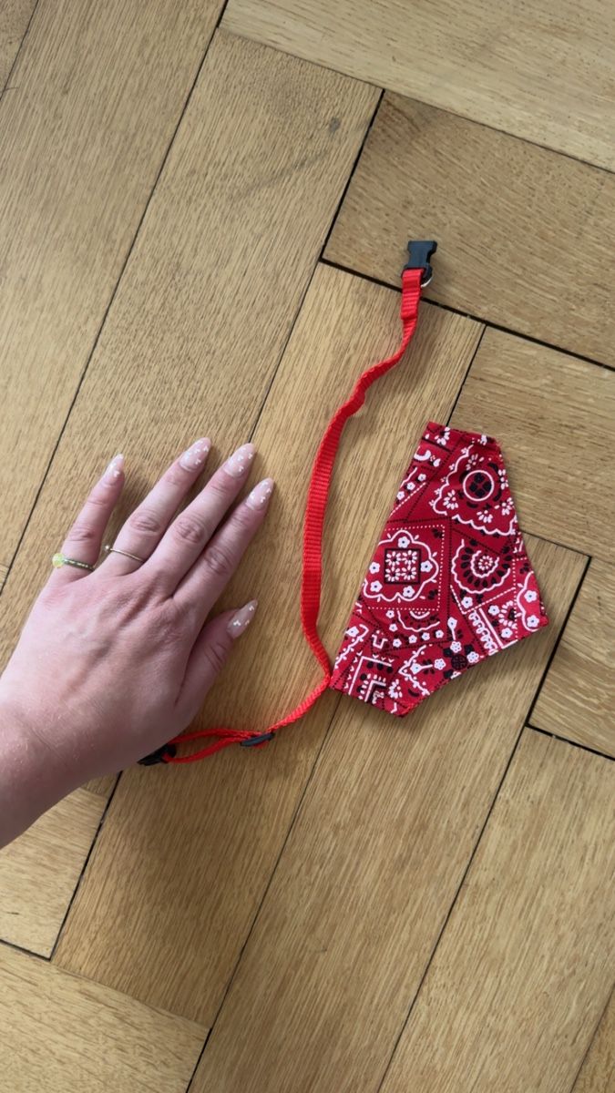 Leine & Halsband: Dog Collar / Bandana – Gebraucht aus Otelfingen von mar_sy7r 2