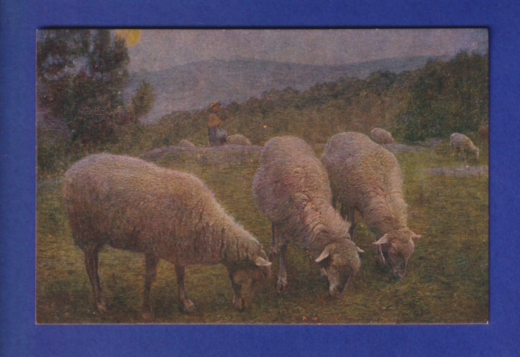 Cartoline postali: MOUTON – Usato da Pully venduto da nicecards-shop