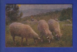 MOUTON