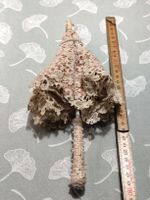 Miniatur Sonnenschirm Spitze Perlen beige neuwertig