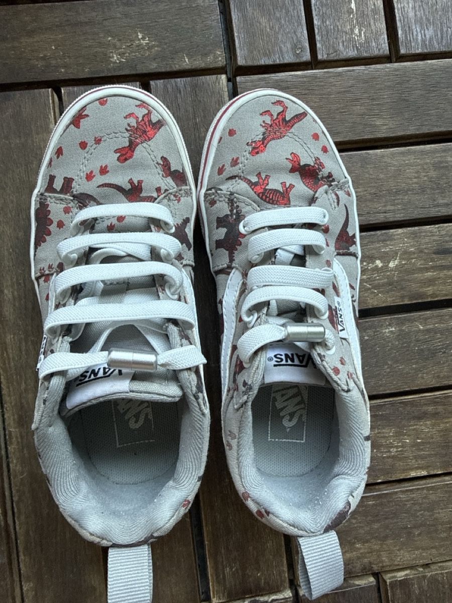 Vans Chaussures garçon: Vans Turnschuhe Dinosaurs Muster Grau Grösse 34 – D'occasion à Zürich par maraki05