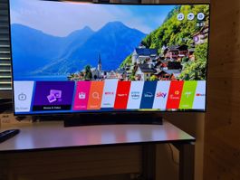 LG OLED Curved 55'' Fernseher Aussteller NEUWERTIG!