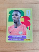 Panini WM 2026 SEN 2