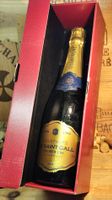 Champagner Saint Gall Premier Cru Brut im Originalkarton