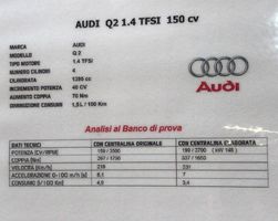 Tuning Chip/Centralina Audi-VW-SEAT-SKODA