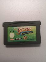 Scooby-Doo and the Cyber Chase (Gameboy Advance)