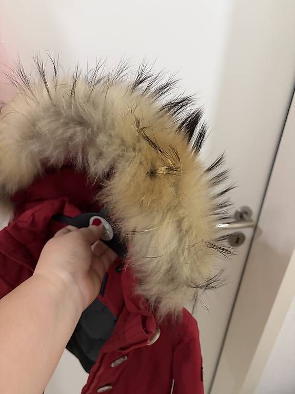Vestes: Woolrich  – D'occasion à Bellinzona par SammlerTI 3