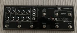 **T-Rex SoulMate Acoustic , Neuwertiger Zustand