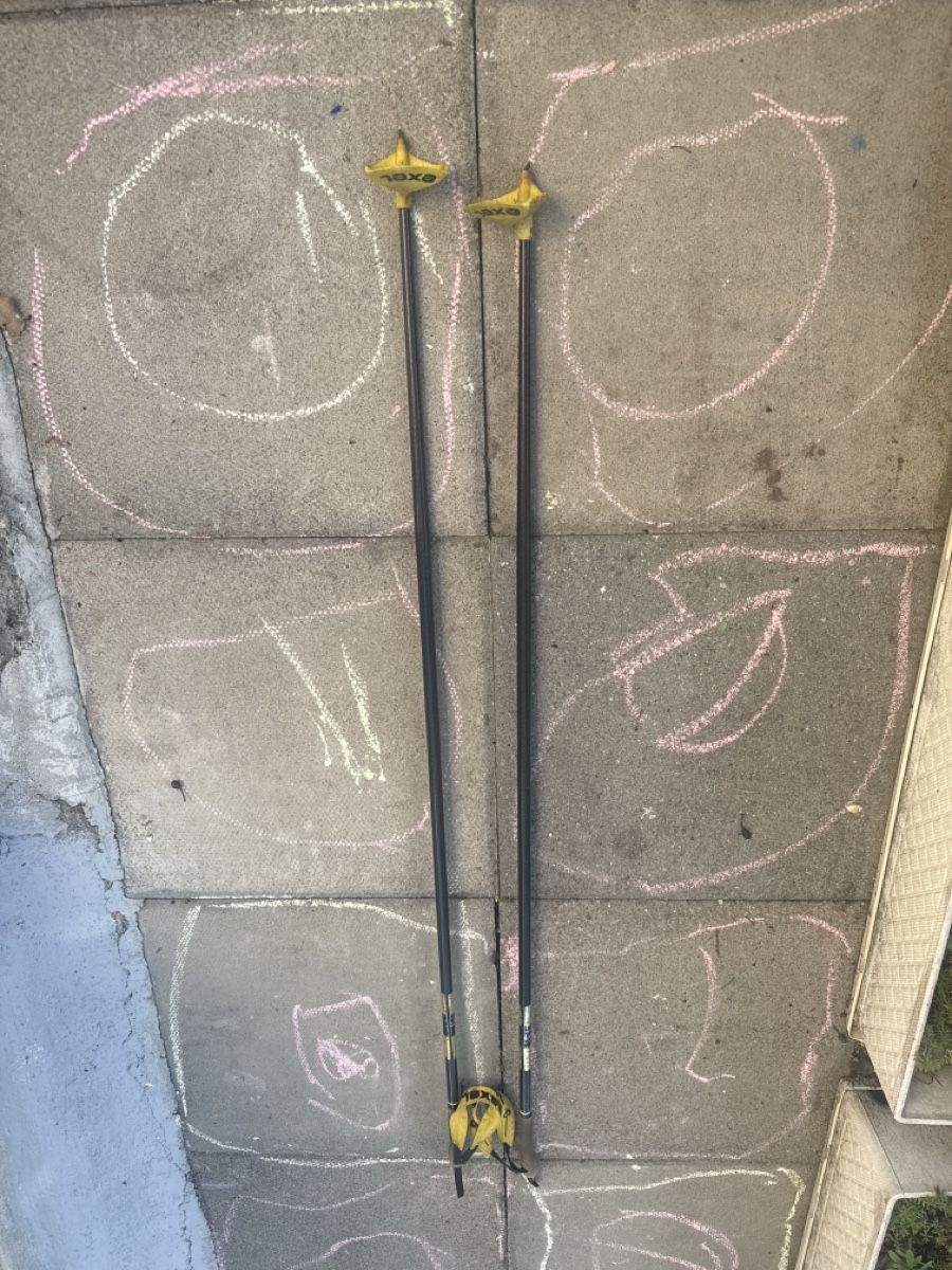 Exel Bastoncini da sci: Exel Skistöcke 137.5 cm – Usato da Zürich venduto da Krikri21