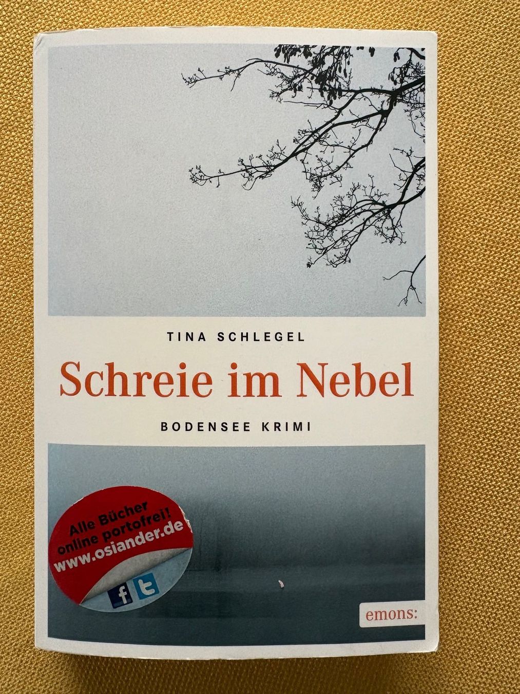 Libri: 9 Schweizer Krimis (Bodensee) – Usato da Oberweningen venduto da Gerini 6