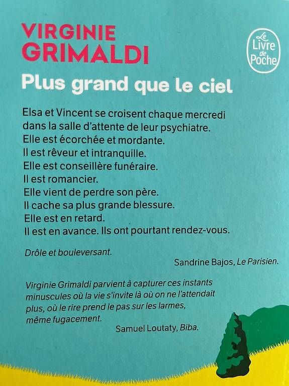 Libri: Plus grand que le ciel de Virginie Grimaldi – Nuovo (secondo la descrizione) da Renens VD venduto da ele_dkq8 1