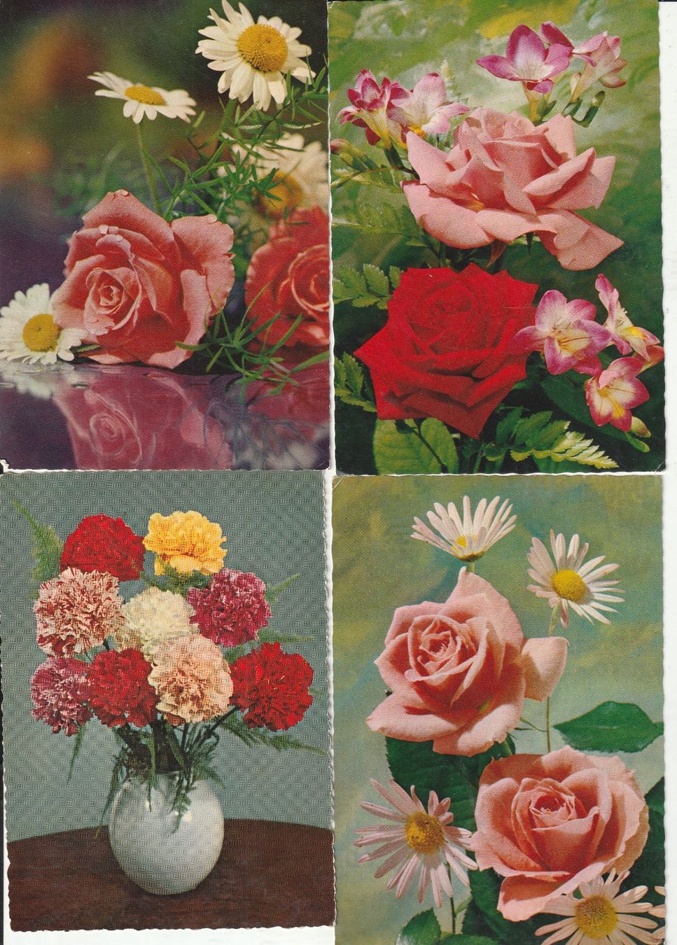 Cartoline postali: 40 Blumenkarten – Usato da Lumbrein venduto da made02 9