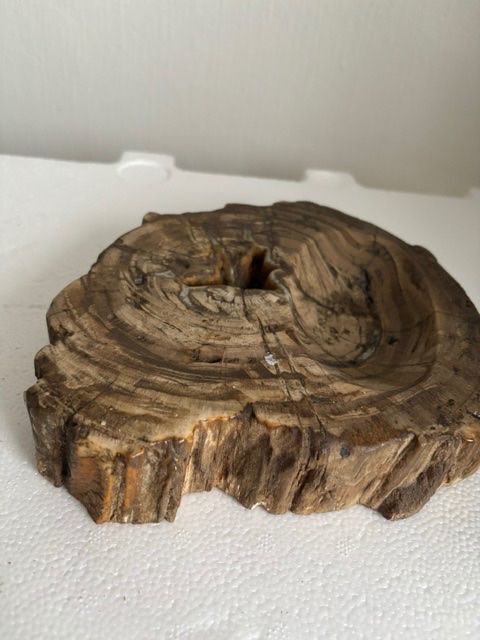 Fossili: Versteinertes Holz – Usato da Herisau venduto da wol_ndx2 1