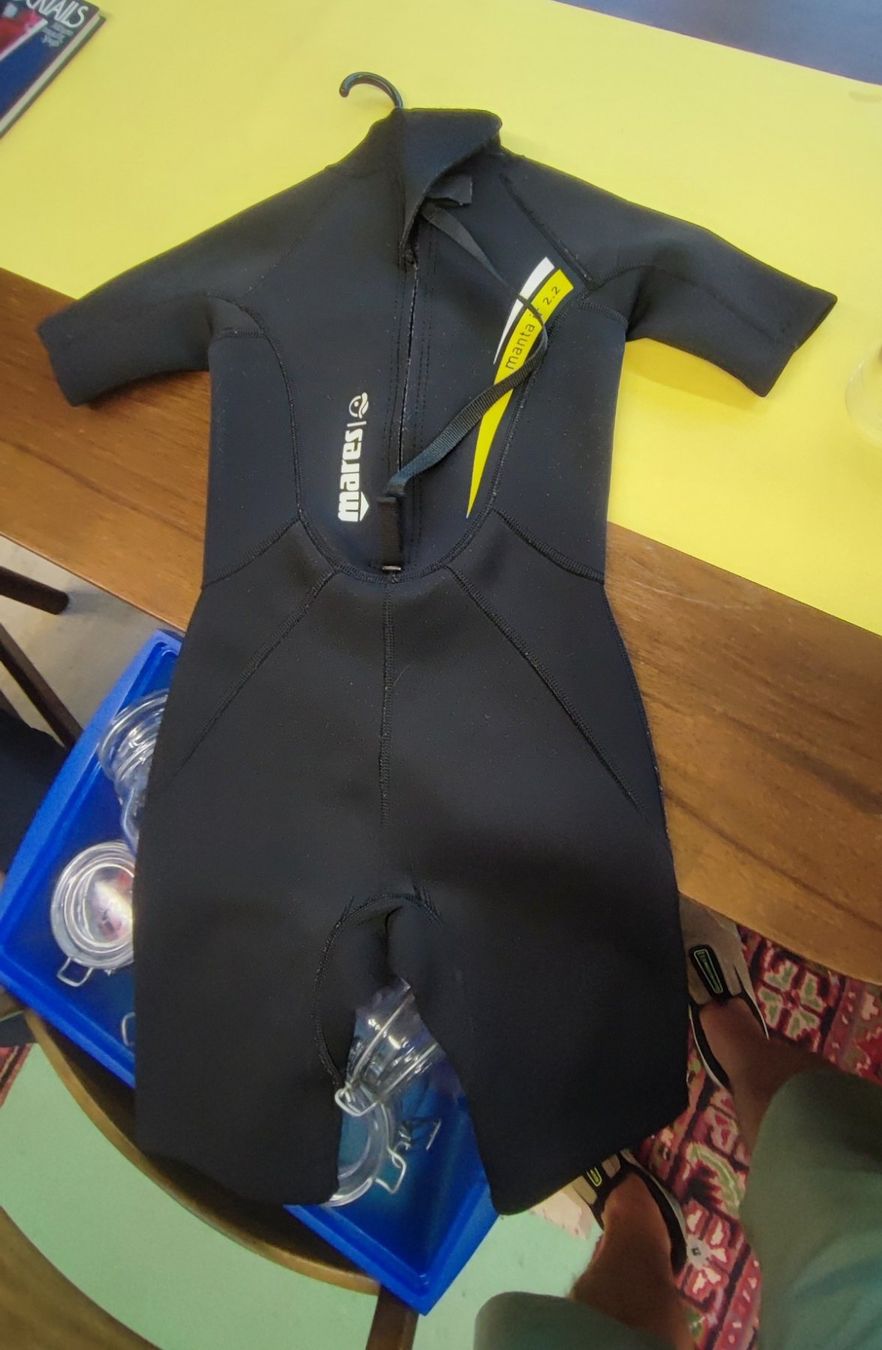 Mares Tauchanzüge: Mares Neopren Shorty Grösse 3 - Kindergrösse ! – Gebraucht aus Mosnang von KurtHe