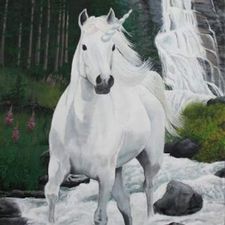 Profile image of blume8888