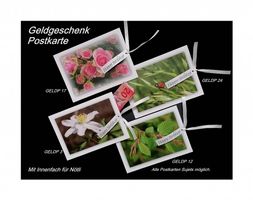 Geldgeschenk Postkarte Decoje