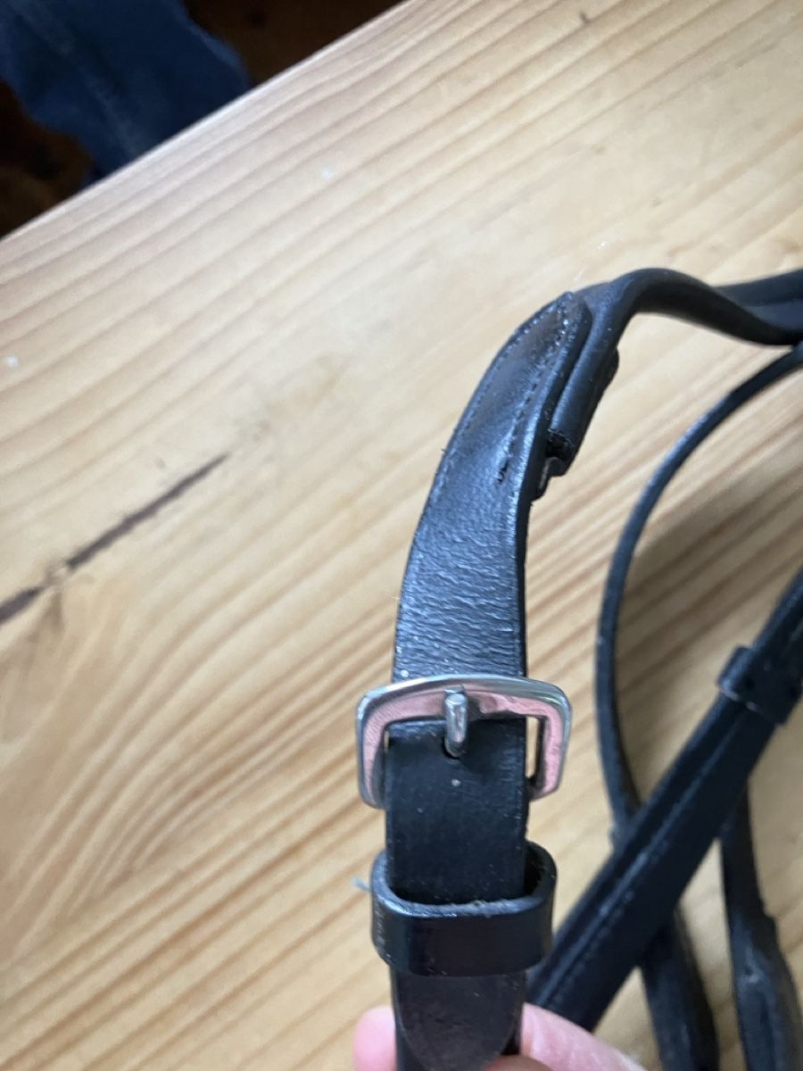 Zaumzeug & Halfter: Lederzügel schwarz mit Clips – Gebraucht aus Gränichen von  2