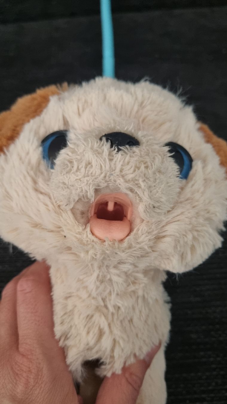 FurReal Jouets: Süsser elektrischer Plüschhund – D'occasion à Winterthur par Pigeonblanc 1