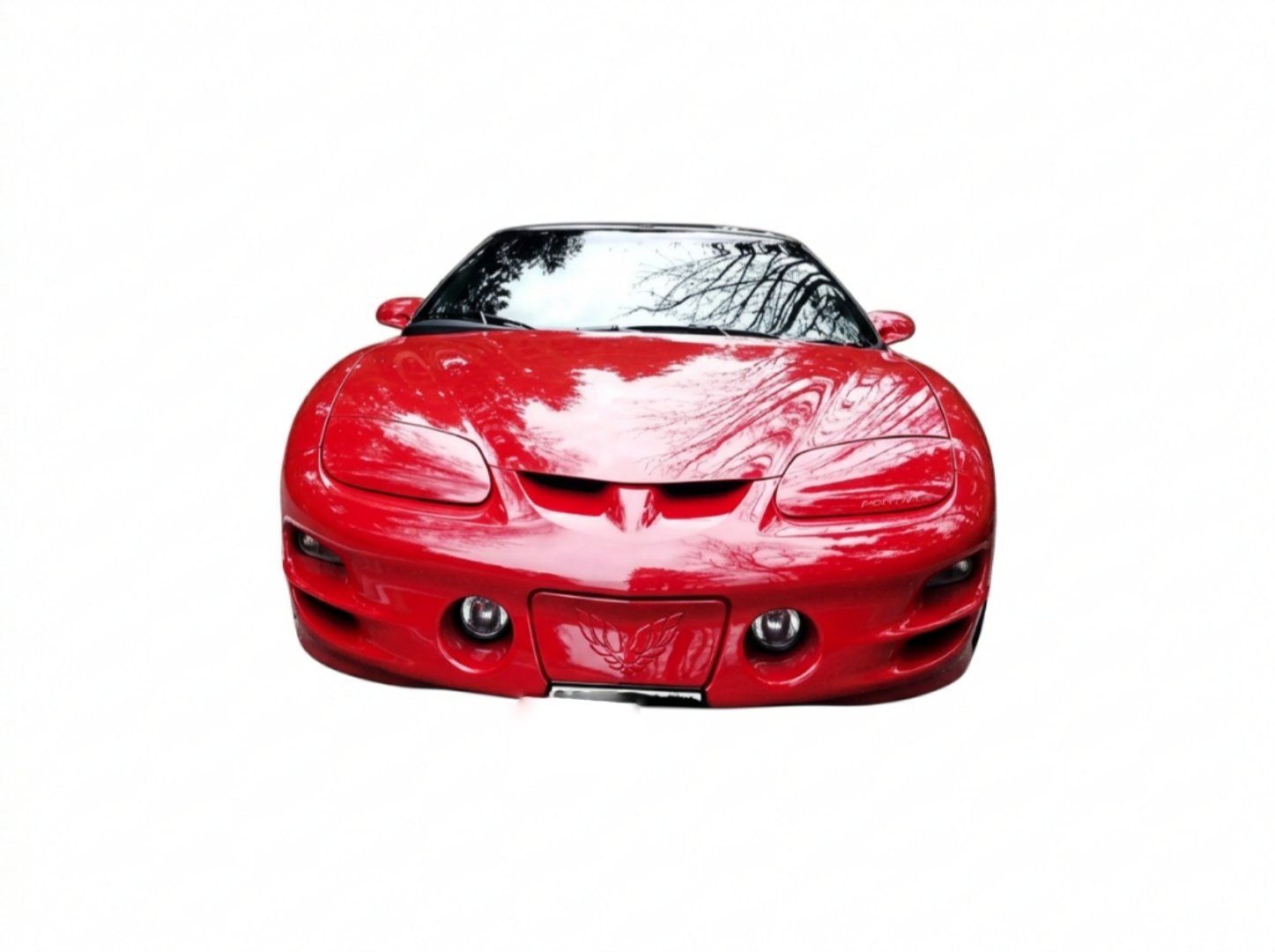 Pontiac Automobili: Pontiac Firebird Trans Am 1998 – Usato da Galgenen venduto da flexvertebra 1