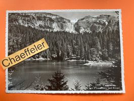 1555 Caumasee mit Flimserstein und Ringel