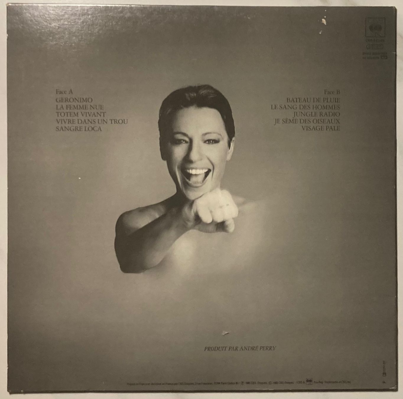 Vinyles: CATHERINE LARA - GERONIMO – D'occasion à Poliez-Pittet par Newtown-Records 1
