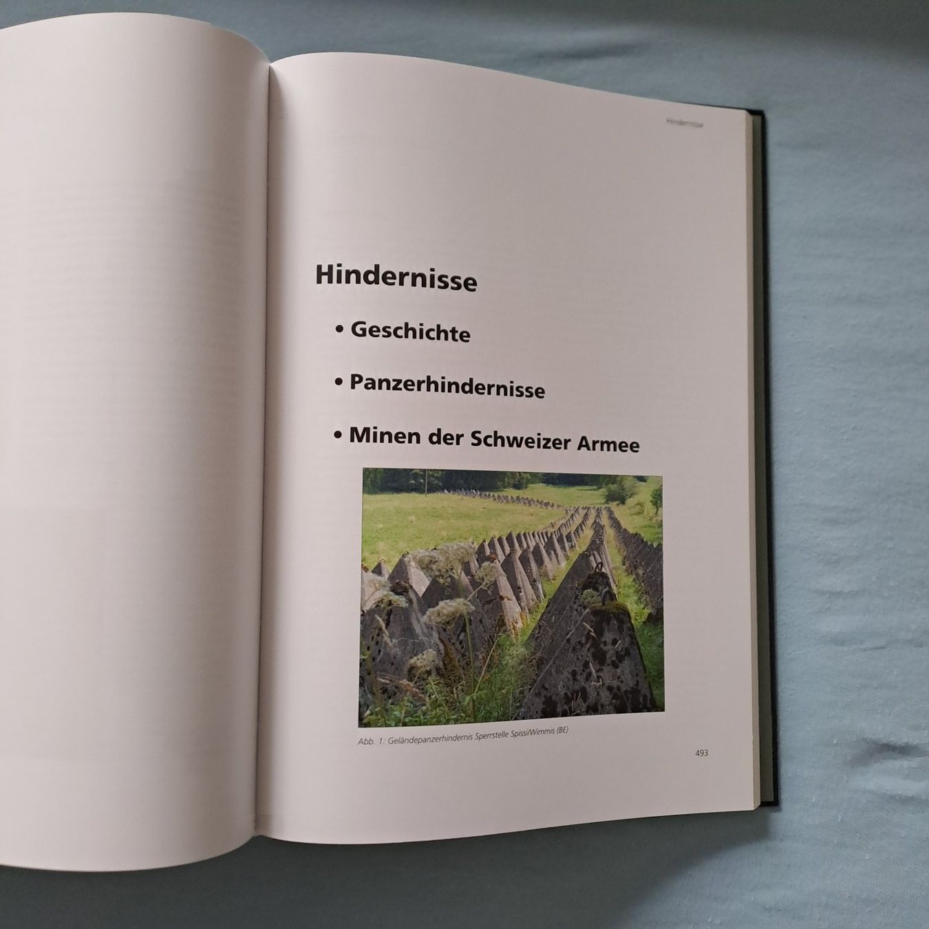Bücher: Die Wunderwaffen der Schweizer Armee – Neu (gemäss Beschreibung) aus Gipf-Oberfrick von Mig_29 4