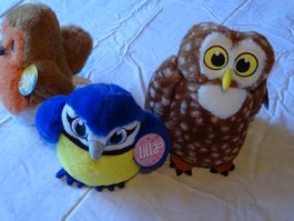 3 Coop Das grosse Zwitschern