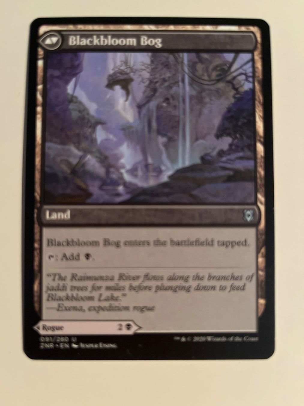 Magic The Gathering Carte collezionabili: 1 x Blackbloom Rogue - Magic: The Gathering - MtG – Usato da Kriens venduto da Shadi1980 1