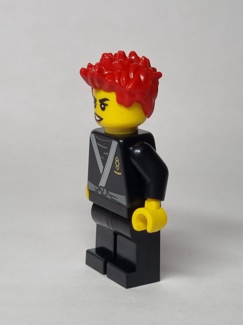 Lego Kit di costruzioni: LEGO BAM Easter 2025 Ninja with black tiger robe – Nuovo (secondo la descrizione) da Basadingen venduto da NekoBricks 3