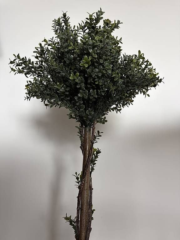 Piante & sementi: Kunstbaum 95cm hoch – Usato da Dübendorf venduto da laser_91 2