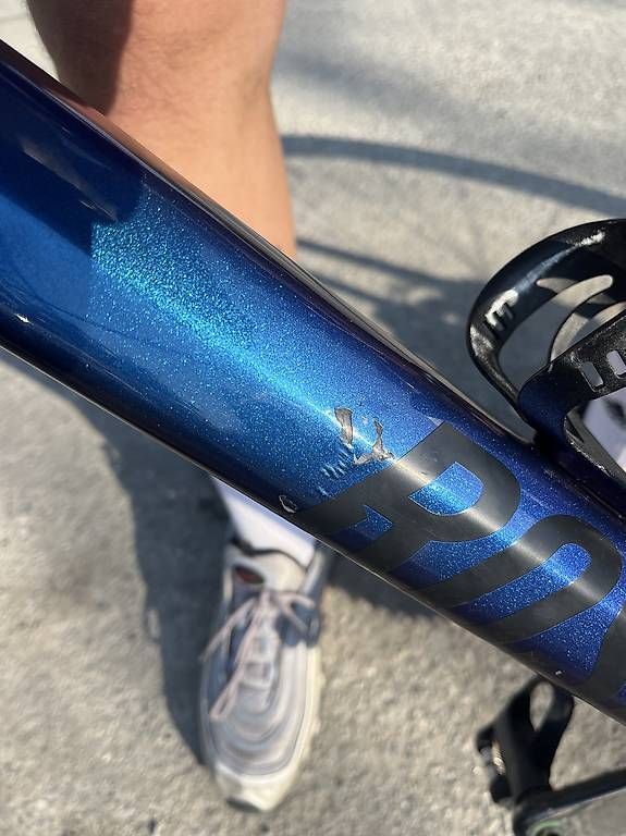 Velos: Rose reveal four – Gebraucht aus Luzern von Neviller 3