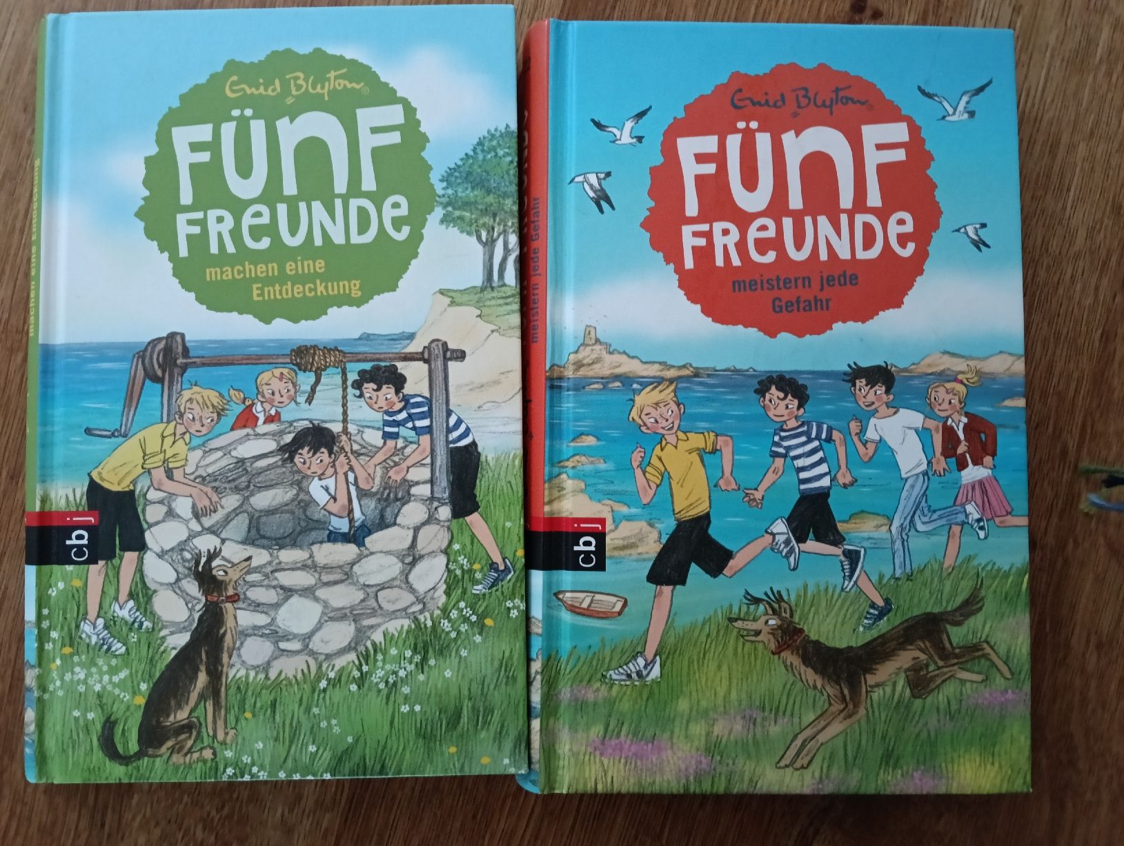 Libri: Bücher "fünf Freunde" – Usato da Arnegg venduto da Gesi1