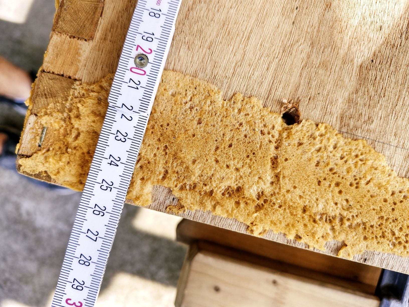 Scale: Estrichleiter Holz Klapptreppe gebraucht – Usato da Neukirch (Egnach) venduto da ers_9m72 3