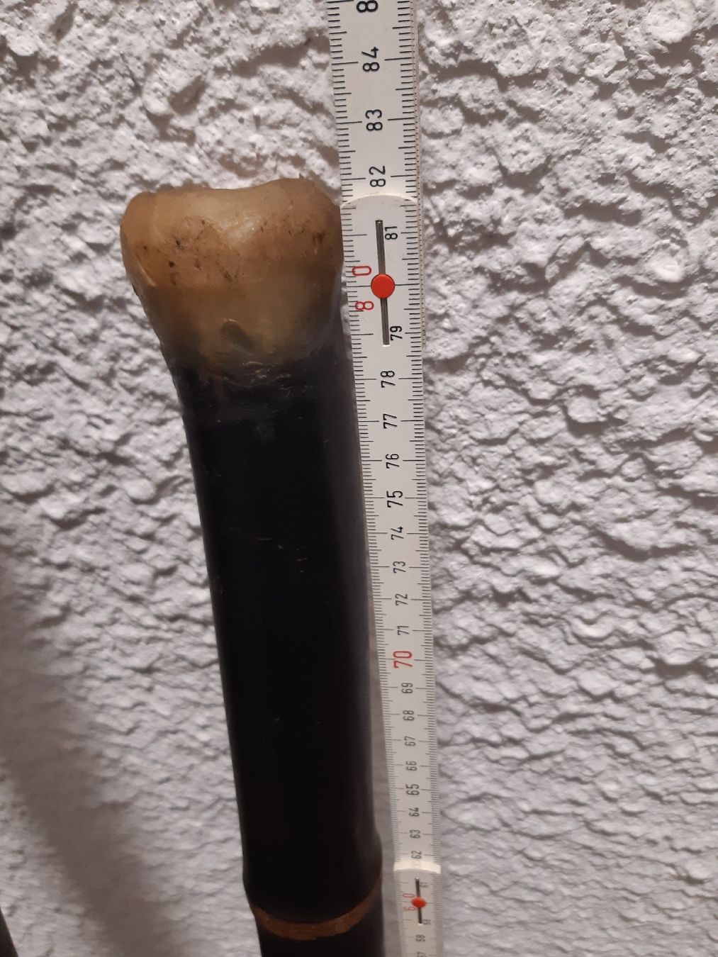 Strumenti musicali: DIDGERIDOOS 4 pièces, 4 tailles neuves – Nuovo (secondo la descrizione) da Genève venduto da dieudedieu 5