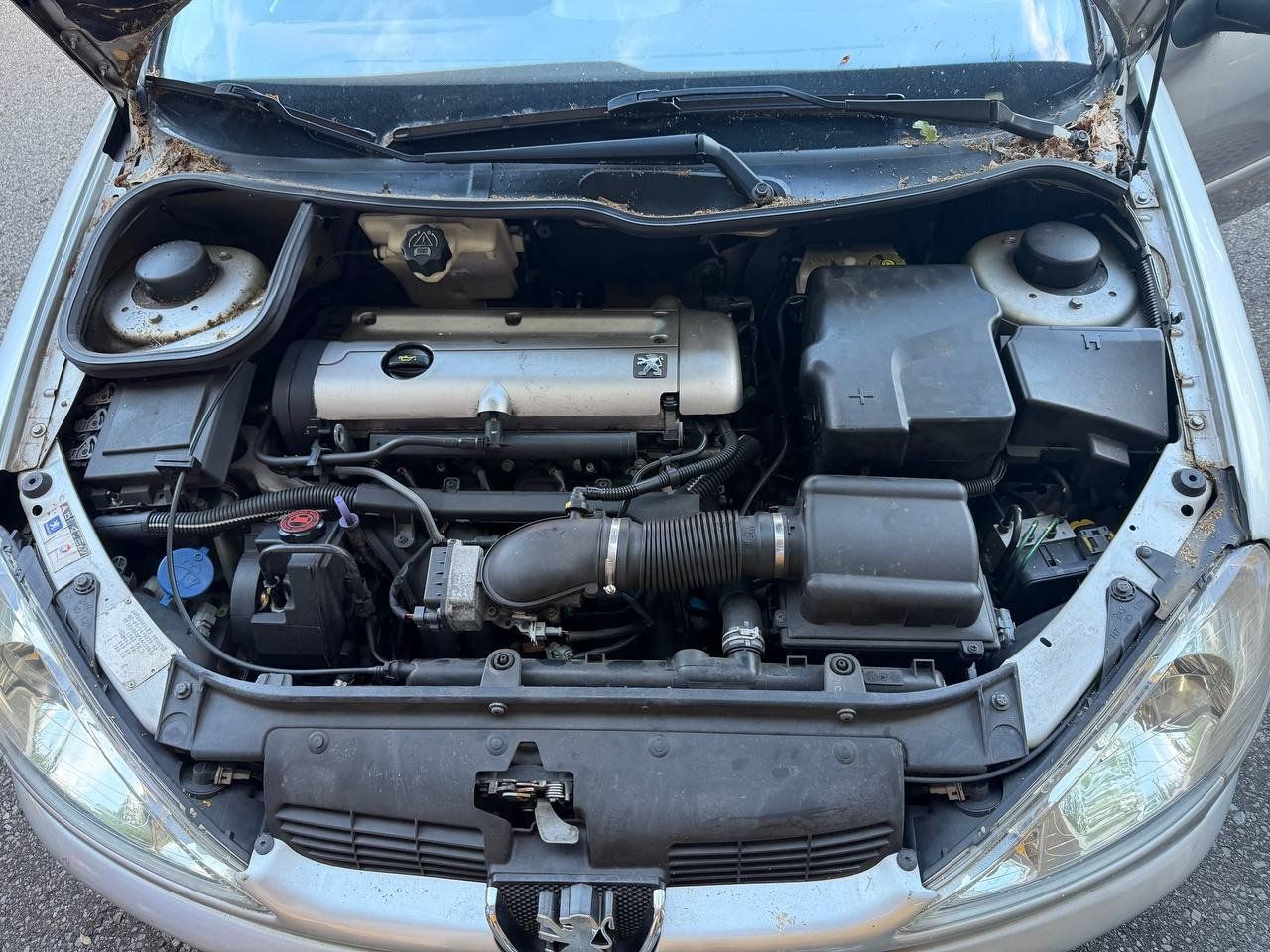 Peugeot Autos: Peugeot 206 Cabriolet – Gebraucht aus Emmenbrücke von B-Core_Schweiz 4