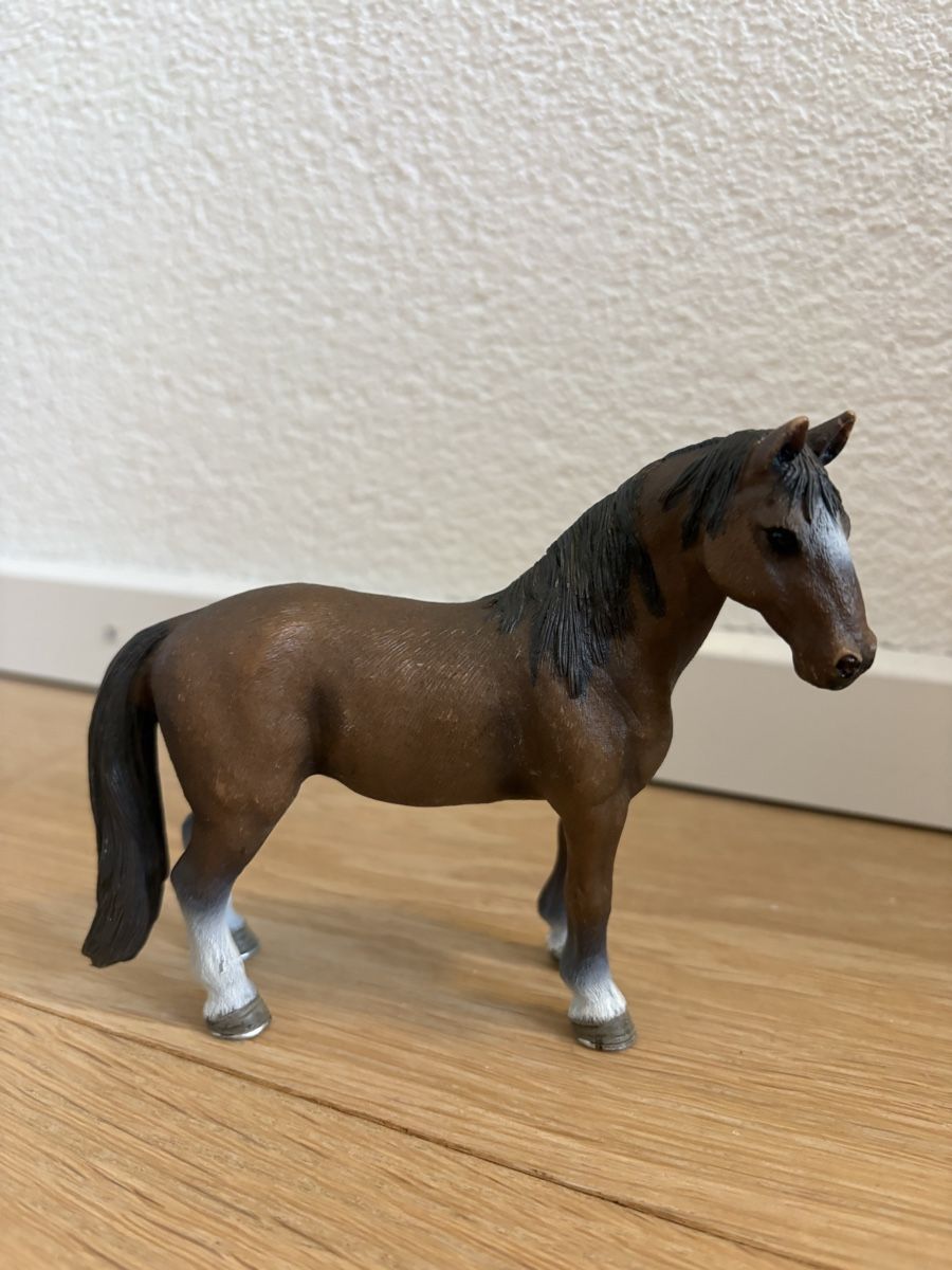 Schleich Spielzeuge: Schleich Pferd – Gebraucht aus Thun von sop_thg9