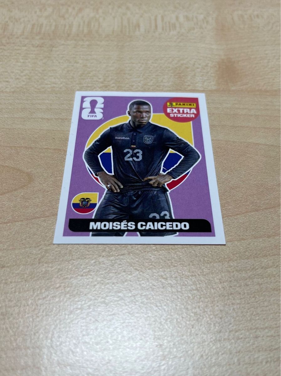 Panini Sammelbilder & Trading cards: Panini-Extra Sticker Caicedo – Neu (gemäss Beschreibung) aus Russikon von zwaldor