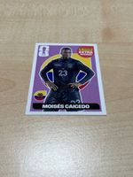 Panini-Extra Sticker Caicedo