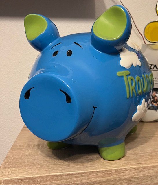 Salvadanai: Keramik Sparschwein – Usato da Dietlikon venduto da Cam0 1