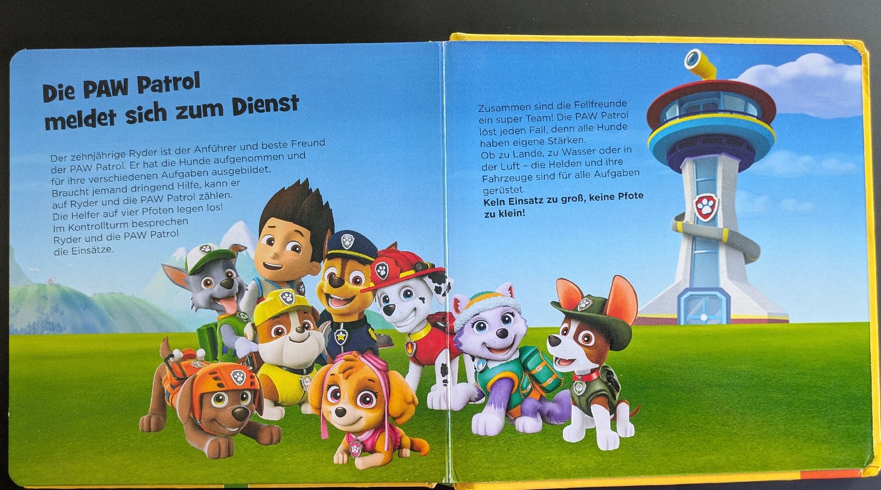 Puzzle: Puzzle Buch Paw Patrol, 4 Puzzles, 3+ – Usato da Kölliken venduto da mic_9n9d 5