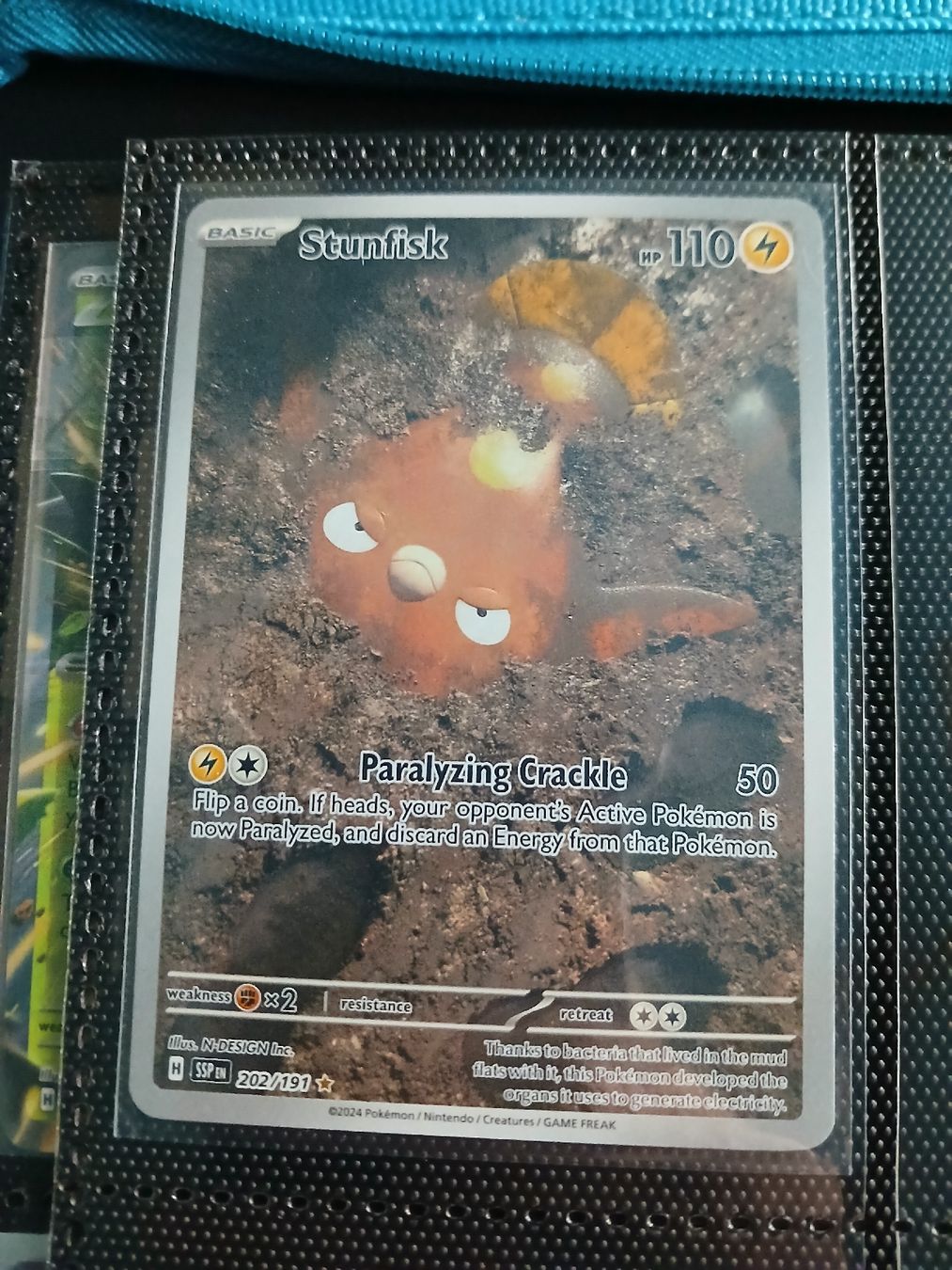 Pokémon Carte collezionabili: pokemon cards – Nuovo e nell'imballaggio originale da Erlinsbach SO venduto da die_9dbt 5