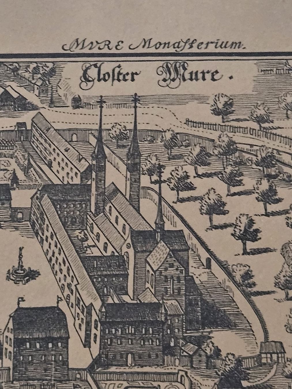 Incisioni: Stich vom  Kloster Muri – Usato da Werthenstein venduto da Marsche1 1