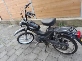 Mofa Pony