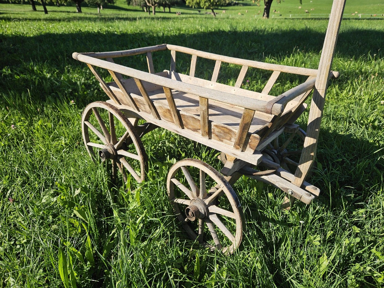 Accessori per altri veicoli: Leiterwagen Antik – Usato da Dietschwil venduto da cgmuerr66 1