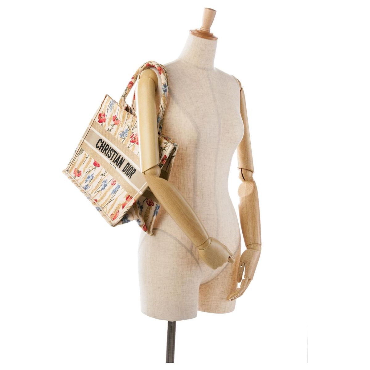 Dior Borse da donna: Christian Dior Tote Book Traumhaft – Nuovo (secondo la descrizione) da Fruthwilen venduto da Mariya13 1