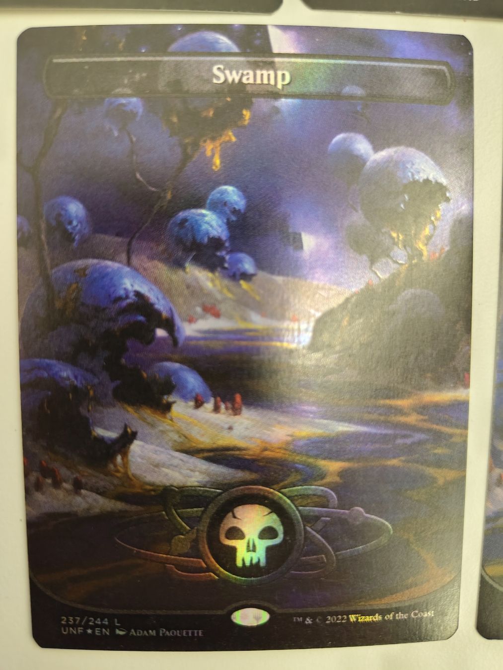 Magic The Gathering Carte collezionabili: MTG Swamp Unfinity 2 foil 5 non foil – Nuovo (secondo la descrizione) da Obergerlafingen venduto da kingslayer4 2