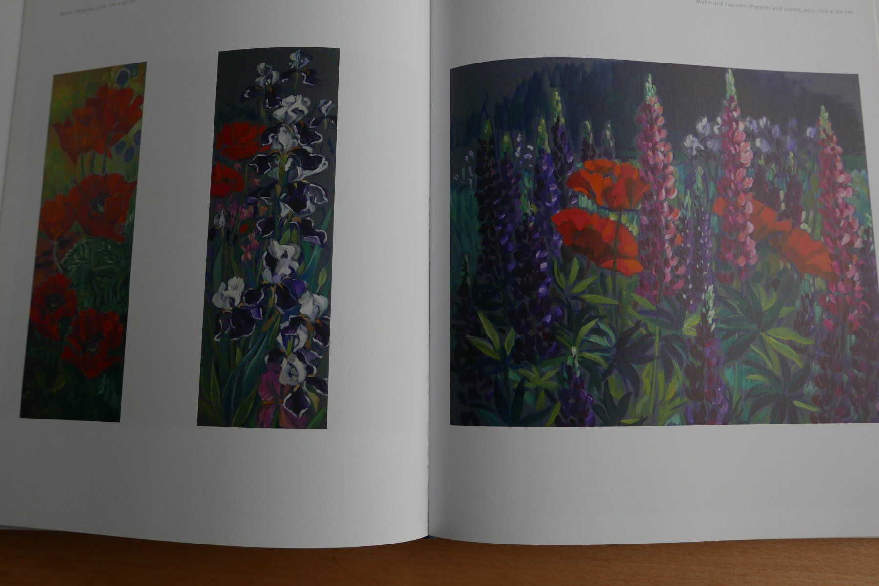 Bücher: Kunstbuch Harald Scheicher Malerei 2010-2014 – Gebraucht aus Rotkreuz von nigal 7