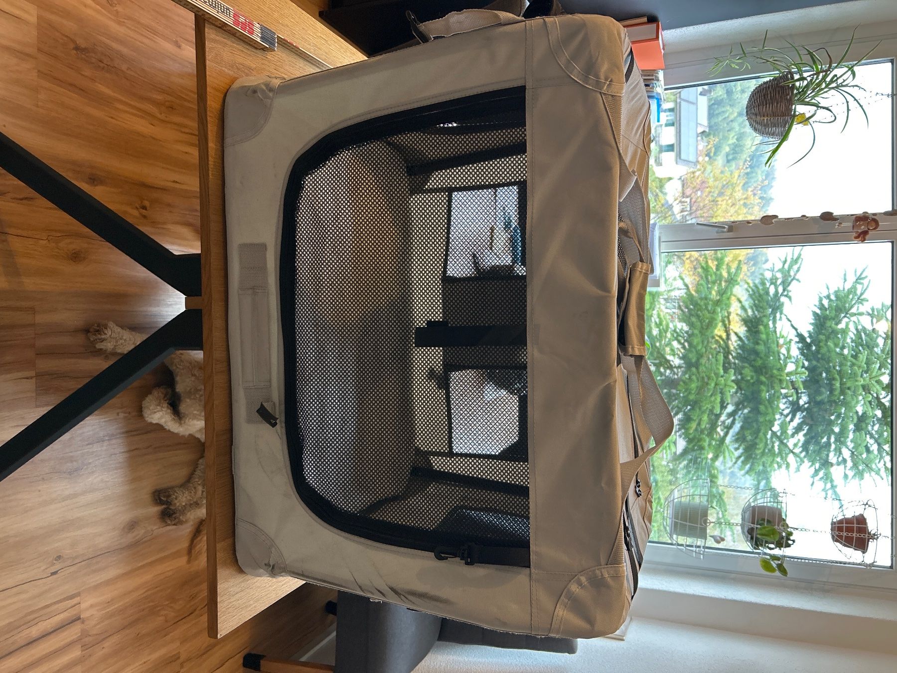 Behälter & Ähnliches: Transportbox Hund – Gebraucht aus Pfungen von Citrus 1