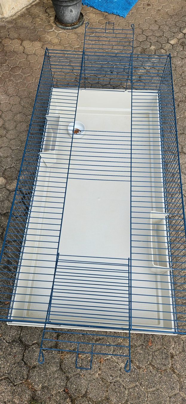Cages, transport & sécurité: Meerschweinchenkäfig – D'occasion à Oltingen par Jo76