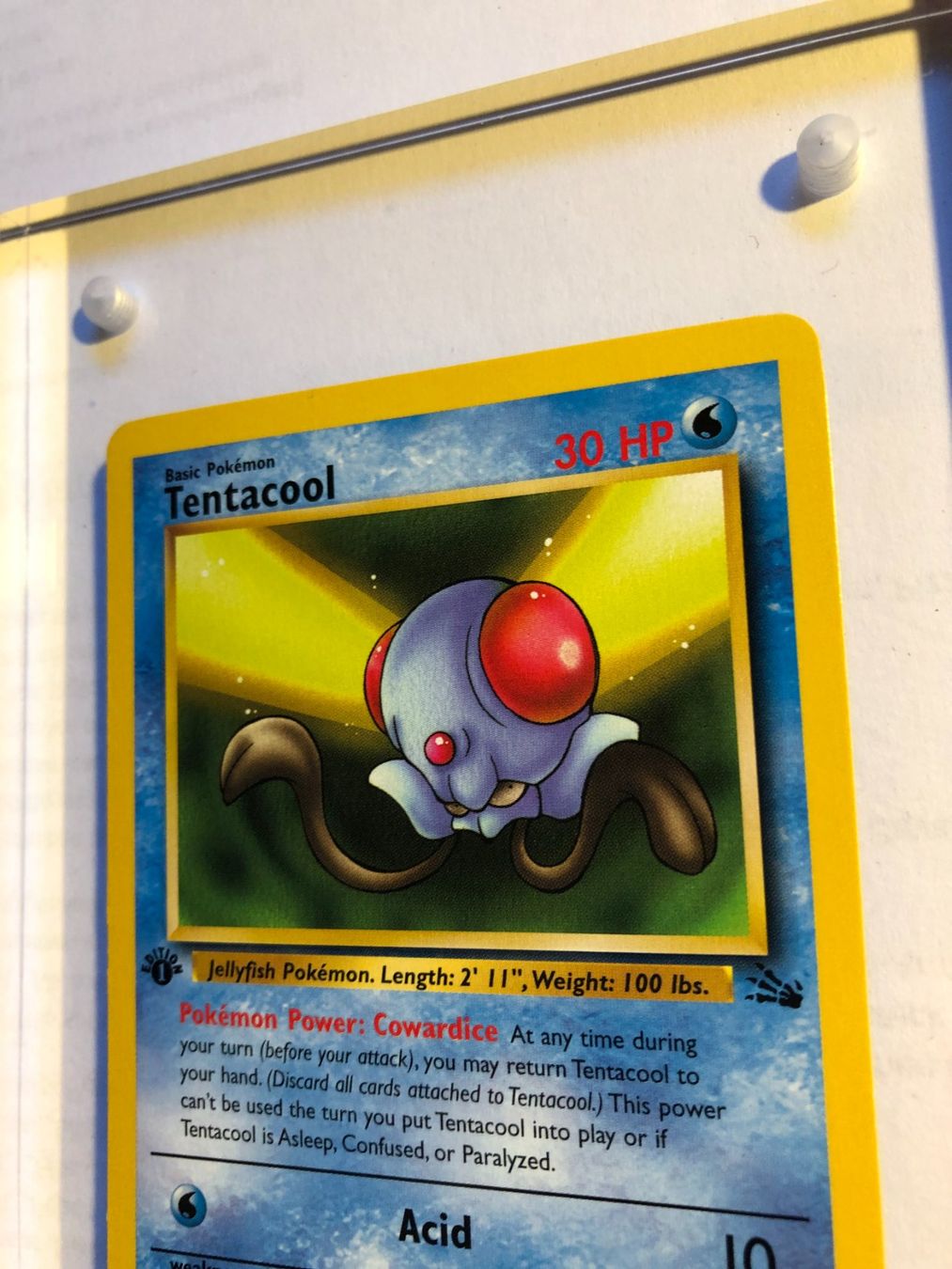 Carte collezionabili: Tentacool 1st Fossil - MINT - ab 1.- – Usato da Giubiasco venduto da dan_pr8b 3